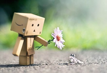 花园画卷：揭秘后院生态之美